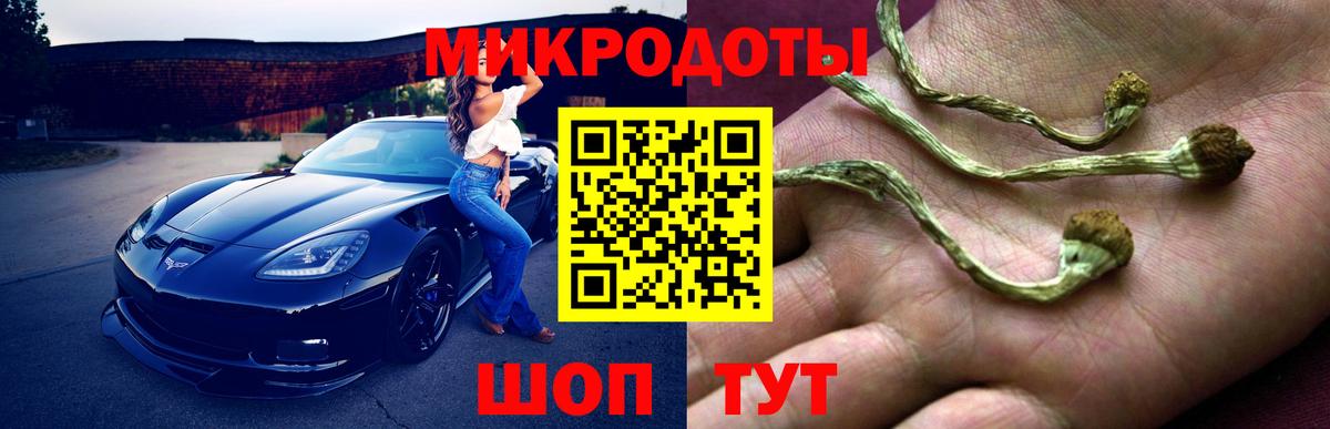 магазин  наркотиков  Псилоцибиновые грибы Psilocybe  Вход с VPN  Сочи 